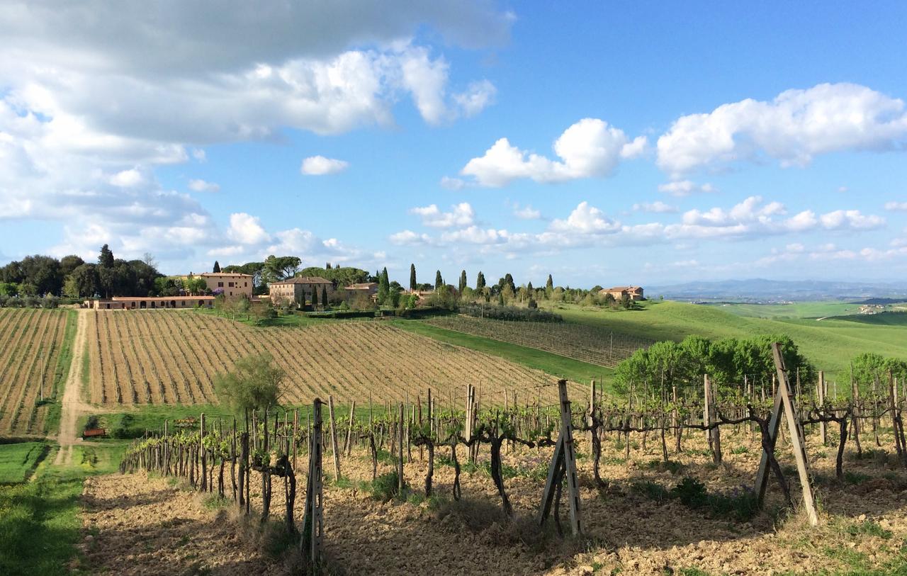 Tenuta Di Corsano Monteroni d'Arbia Ngoại thất bức ảnh
